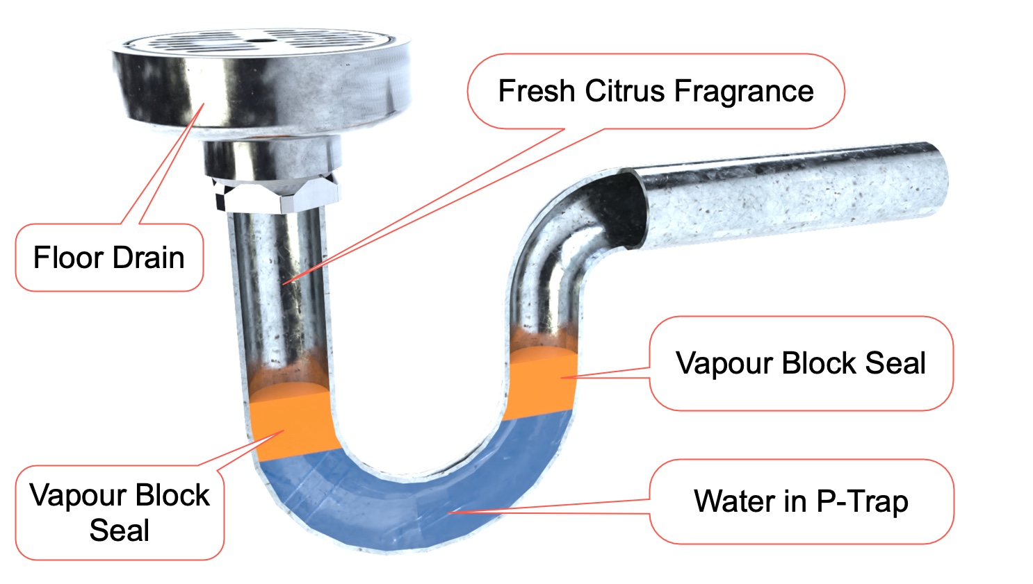 Drain sealer prevent p-traps drains from drying insects